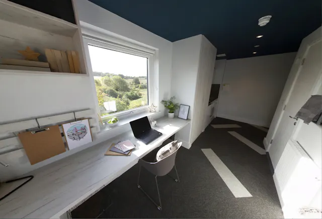 Large Studio Apartment room image 2