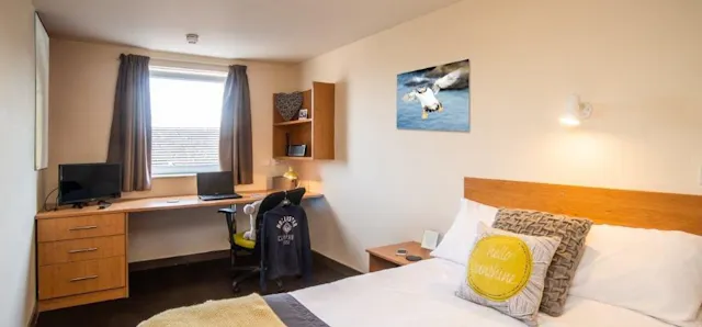 Large Room room image 1