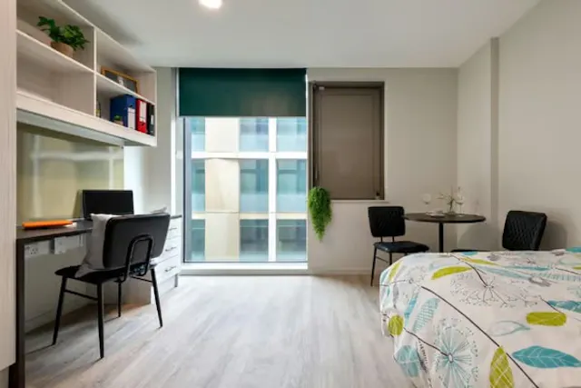 Large Classic Studio room image 1