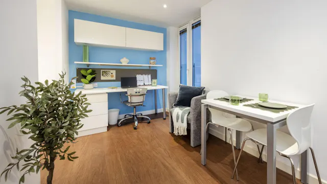 Large Standard Studio Dual Aspect room image 3