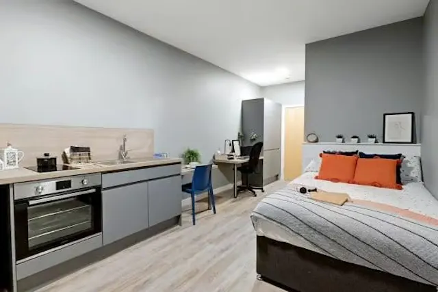 Large Studio room image 2