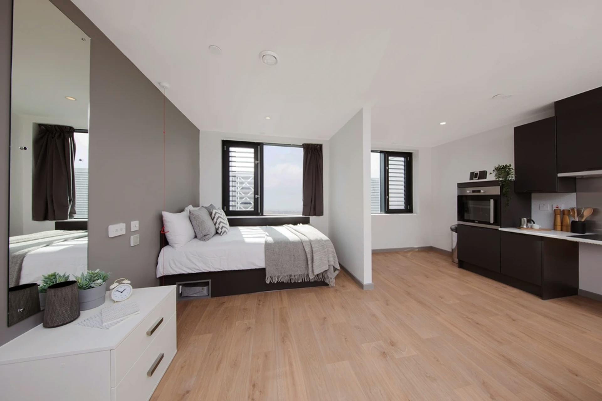 Wheelchair Accessible Studio Double