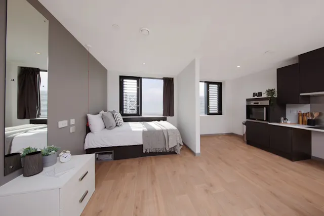 Wheelchair Accessible Studio Double room image 1