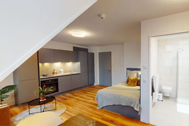 Deluxe Studio room image 2