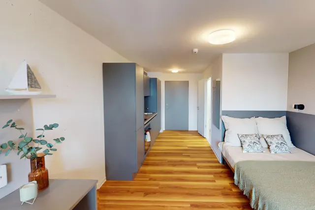 Premium Studio room image 5