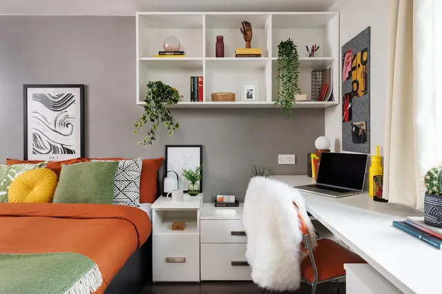Extra Large High Double Studio
