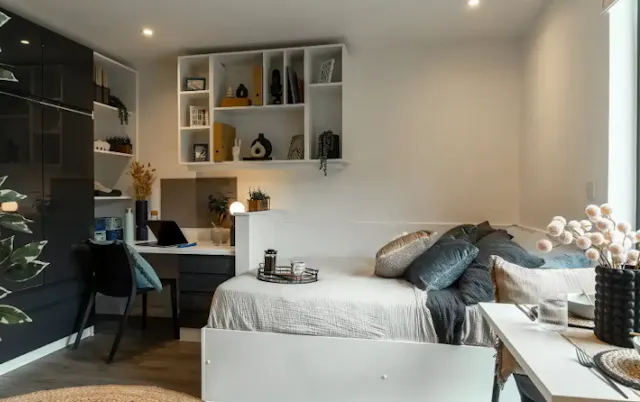 Luxe Plus Studio room image 3