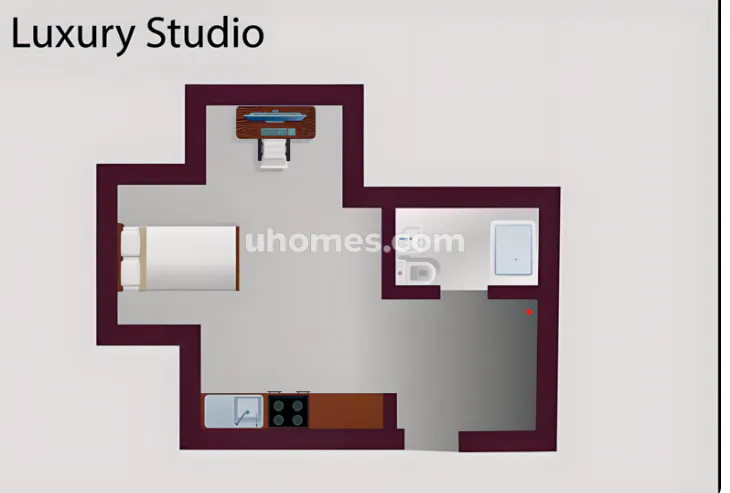 Luxury Studio