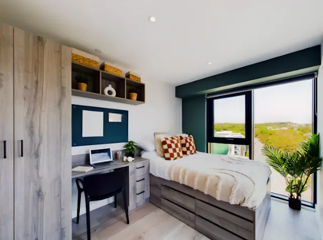 Deluxe Studio room image 2