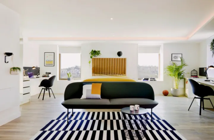 Mortimer Deluxe Studio