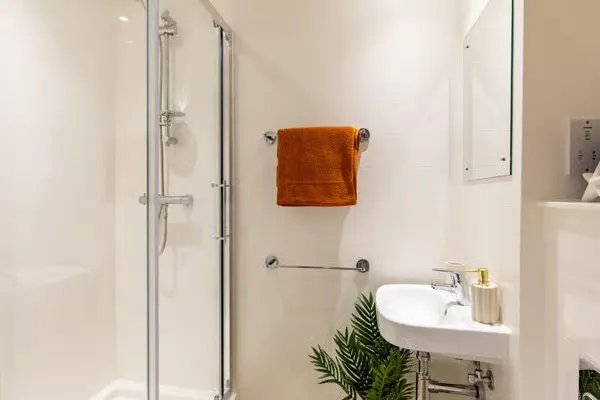 Modern Standard Ensuite