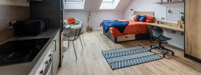 Premium Studio room image 2