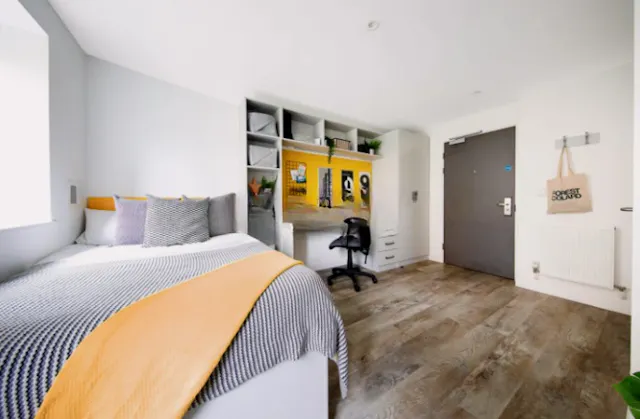 Extra Large Studio room image 1