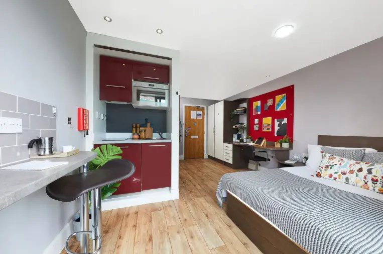Luxury Plus Studio