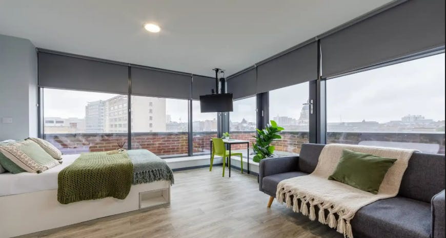 Platinum Studio Accessible