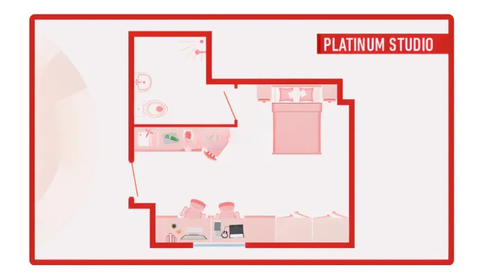 Platinum Studio