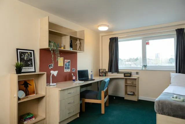 Platinum room image 5