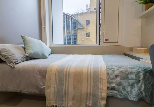 Platinum En Suite Plus room image 3