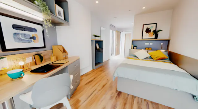 Platinum En Suite Deluxe room image 1