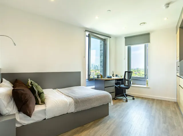 Platinum Skyline Studio room image 1