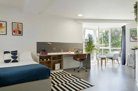 Platinum Studio Accessible
