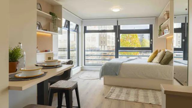 Platinum Studio Plus room image 1