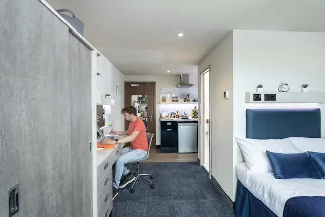 Platinum Studio  room image 1