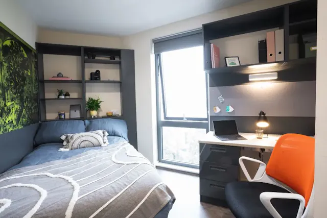 Premium Studio room image 1