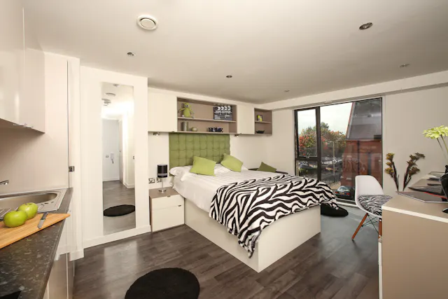 Premium Accessible Studio room image 1