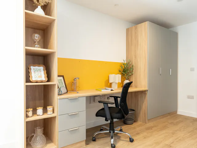 Premium Plus Studio room image 2