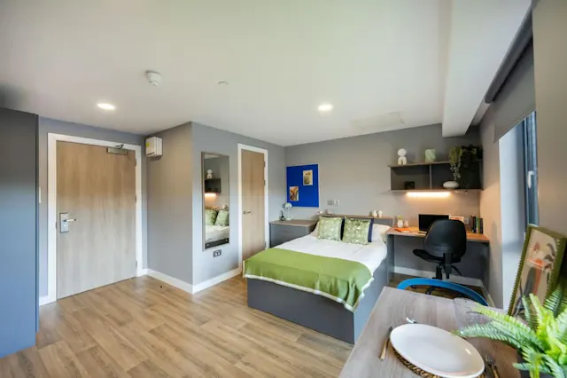 Premium Riverview Studio room image 4