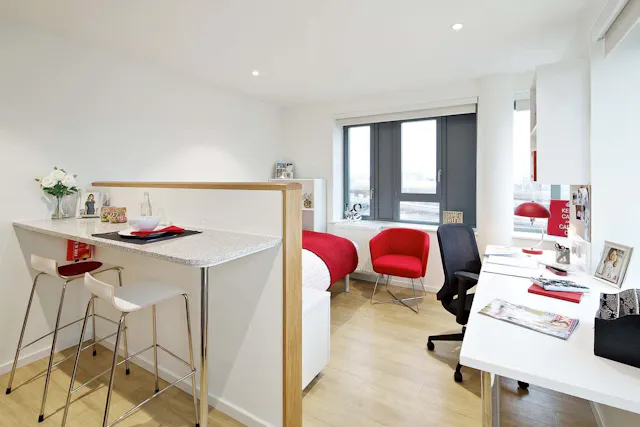 Premium Studio - Lower Floors room image 2
