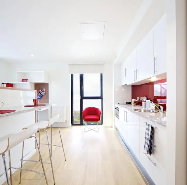 Premium Studio - Lower Floors room image 3