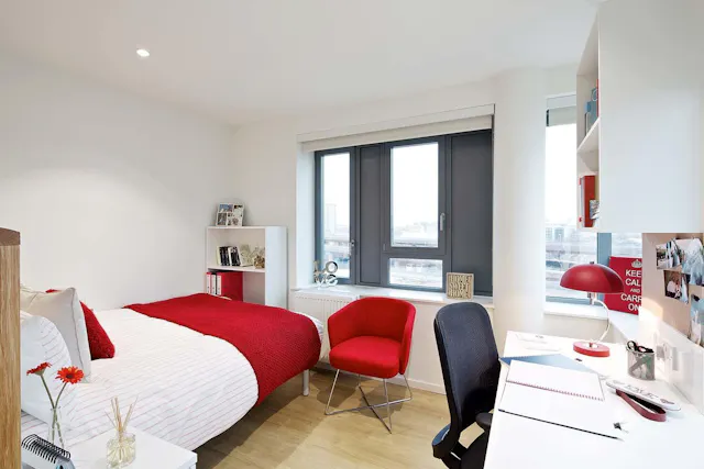Premium Studio - Lower Floors room image 1