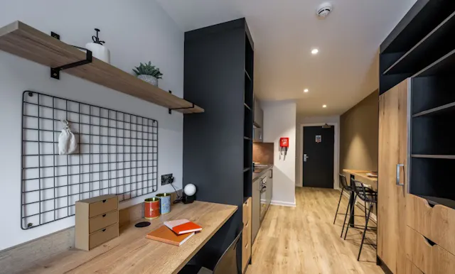 Deluxe Studio room image 2