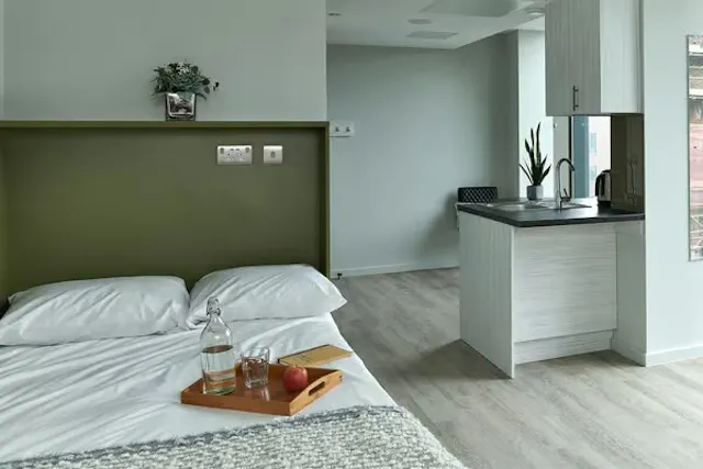 Premium Studio room image 1