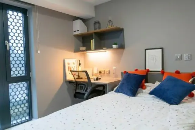 Premium Studio room image 2