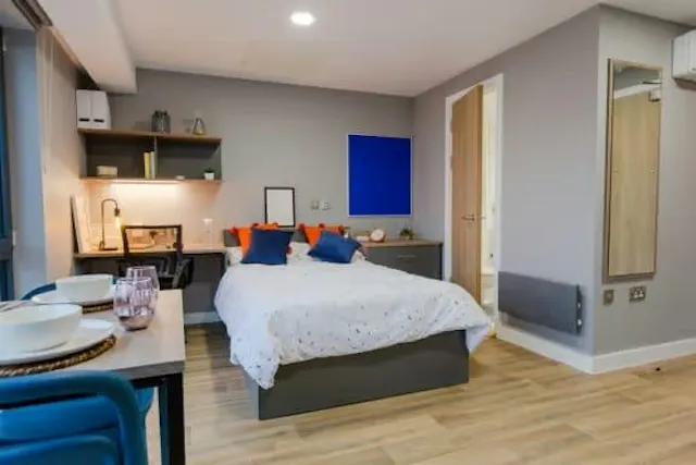 Premium Studio room image 7
