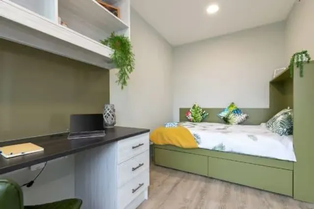 Premium Terrace Studio room image 1