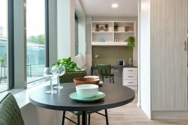 Premium Terrace Studio room image 9