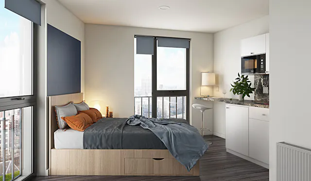 Deluxe Studio room image 1