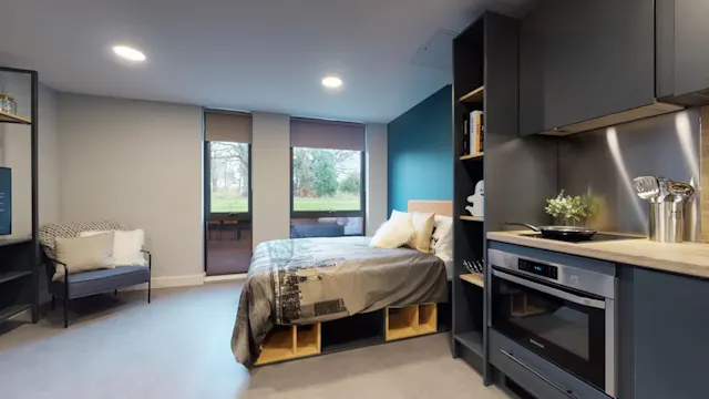 Deluxe Studio room image 1