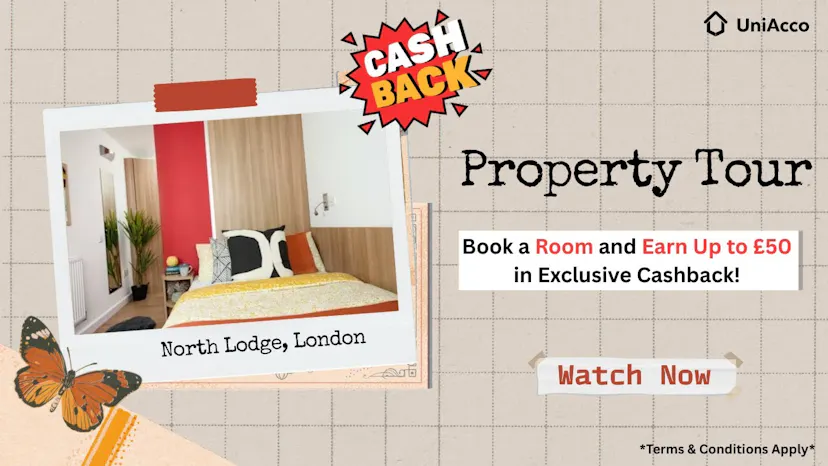 Property video thumbnail 2