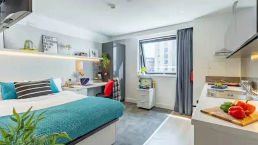 Suite Room