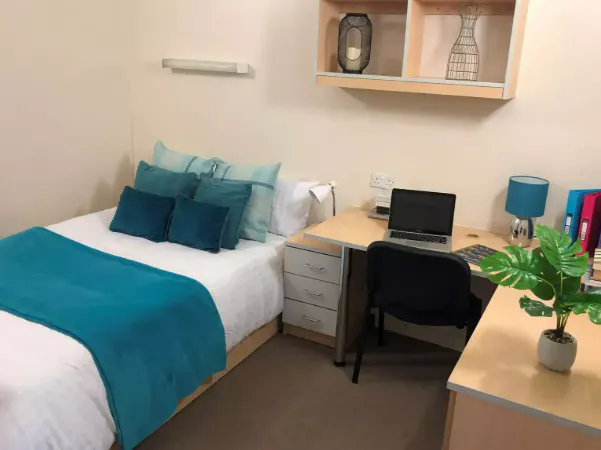 Premier Studio room image 2