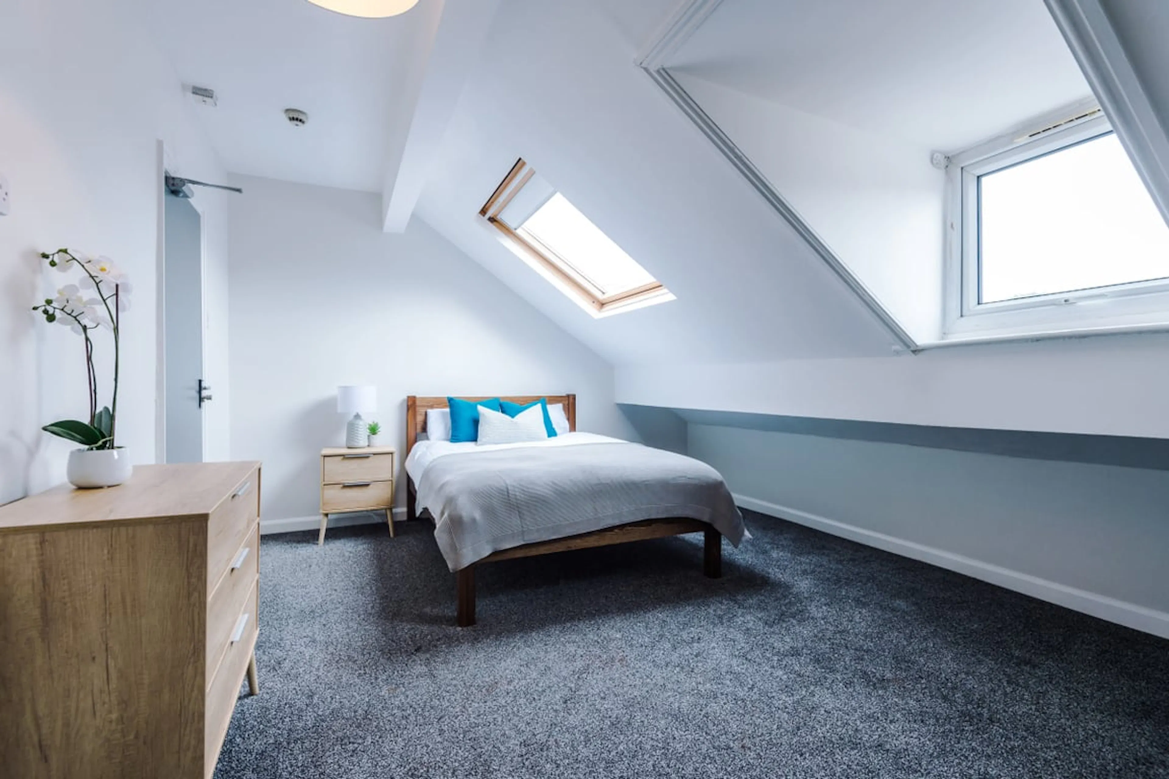 7 Bedroom Apartment ROOM 2