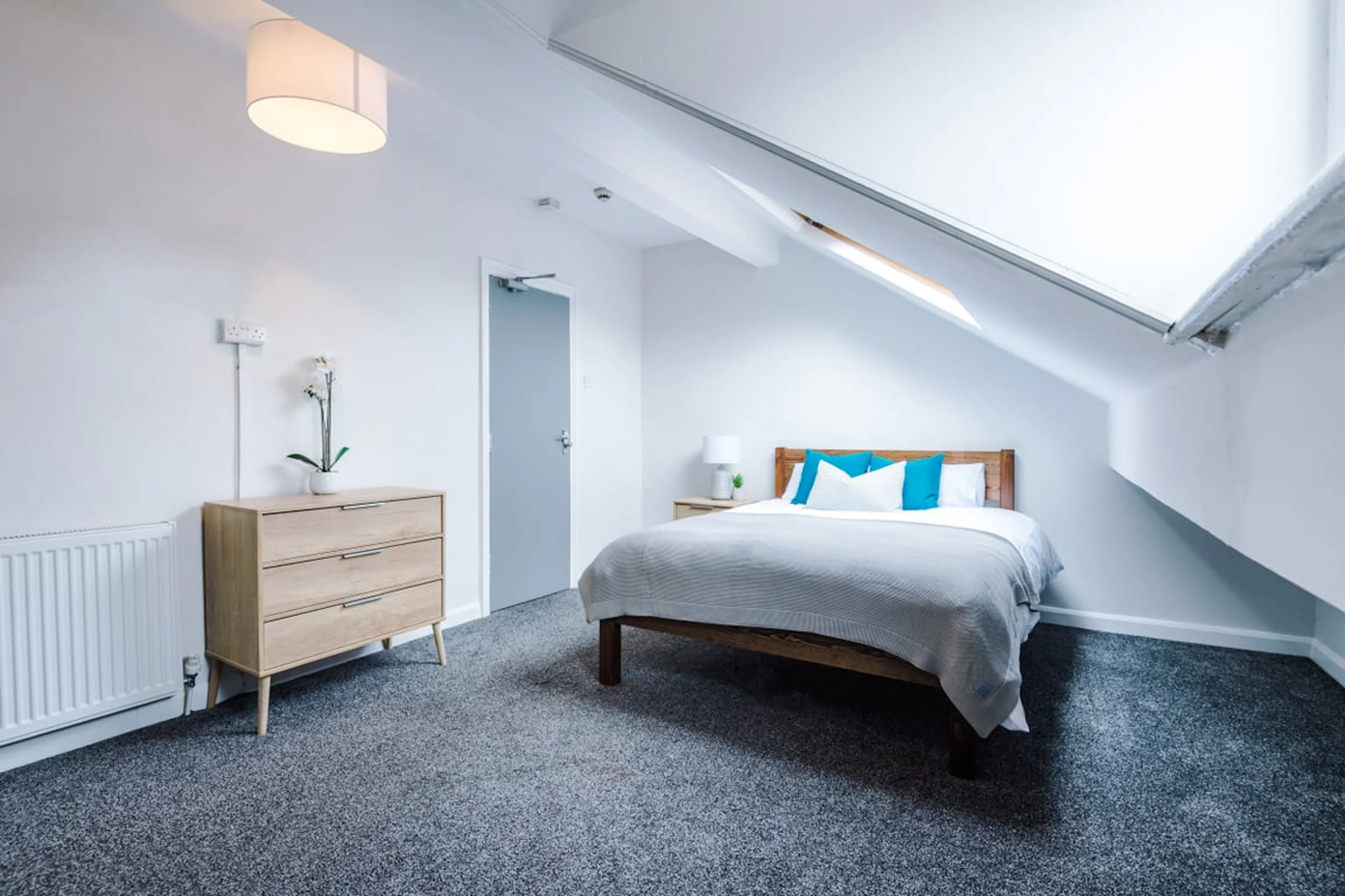 7 Bedroom Apartment ROOM 3