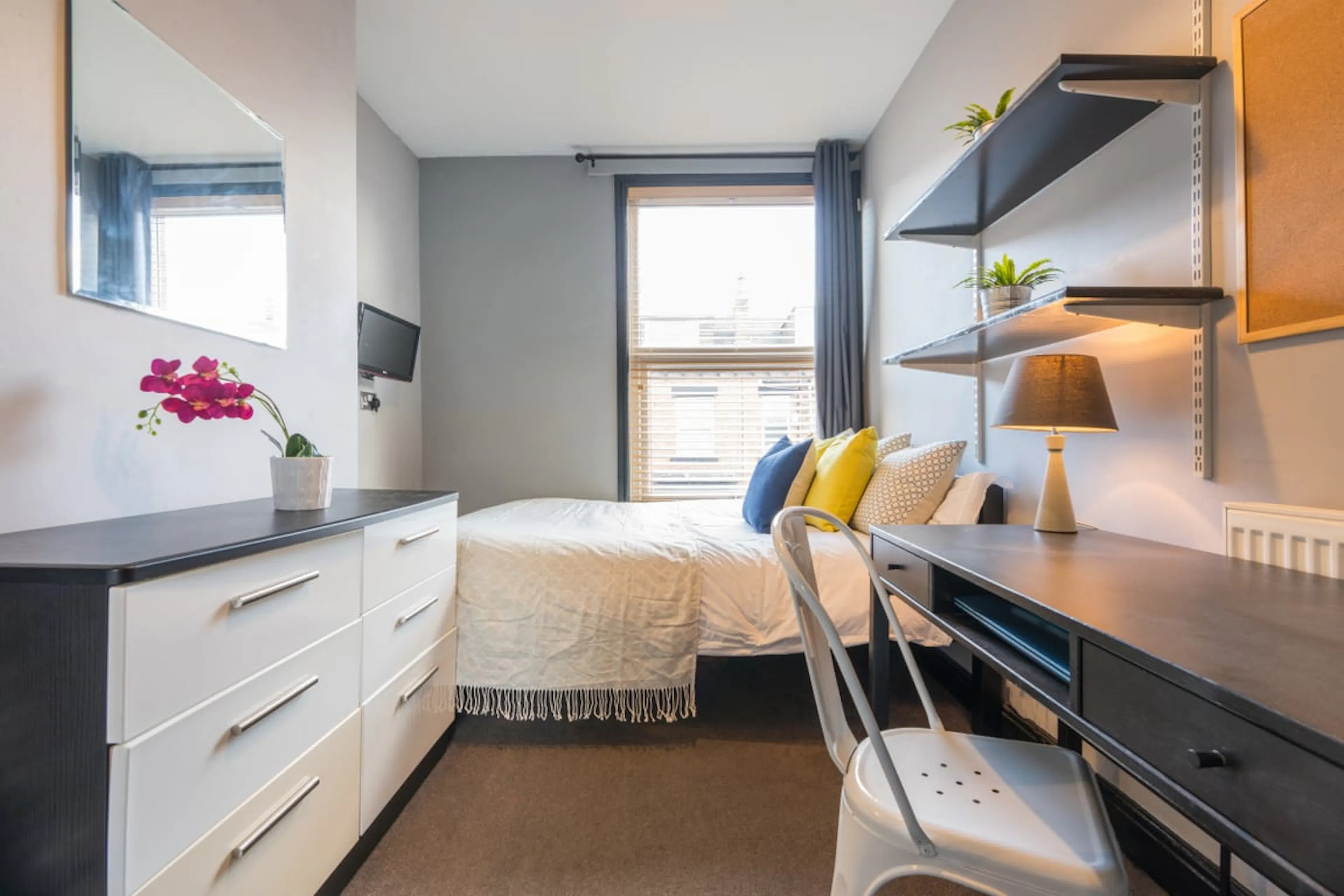 5 Bedroom Apartment ROOM 4
