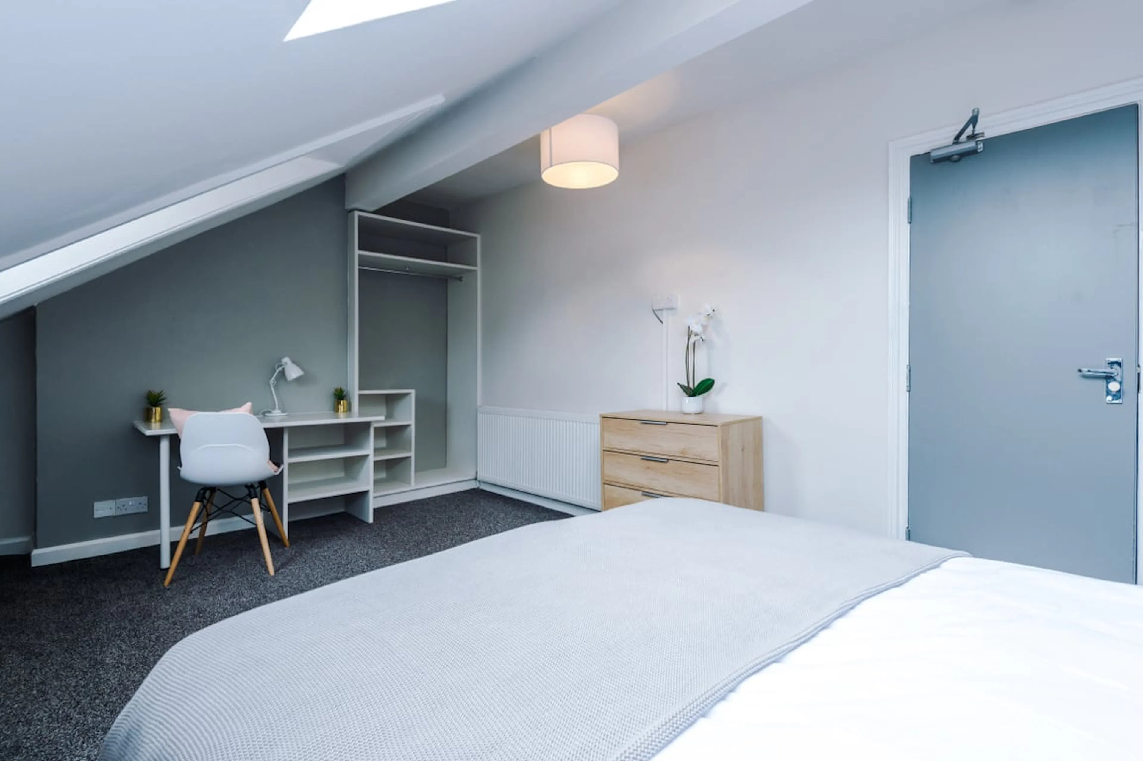 7 Bedroom Apartment ROOM 4