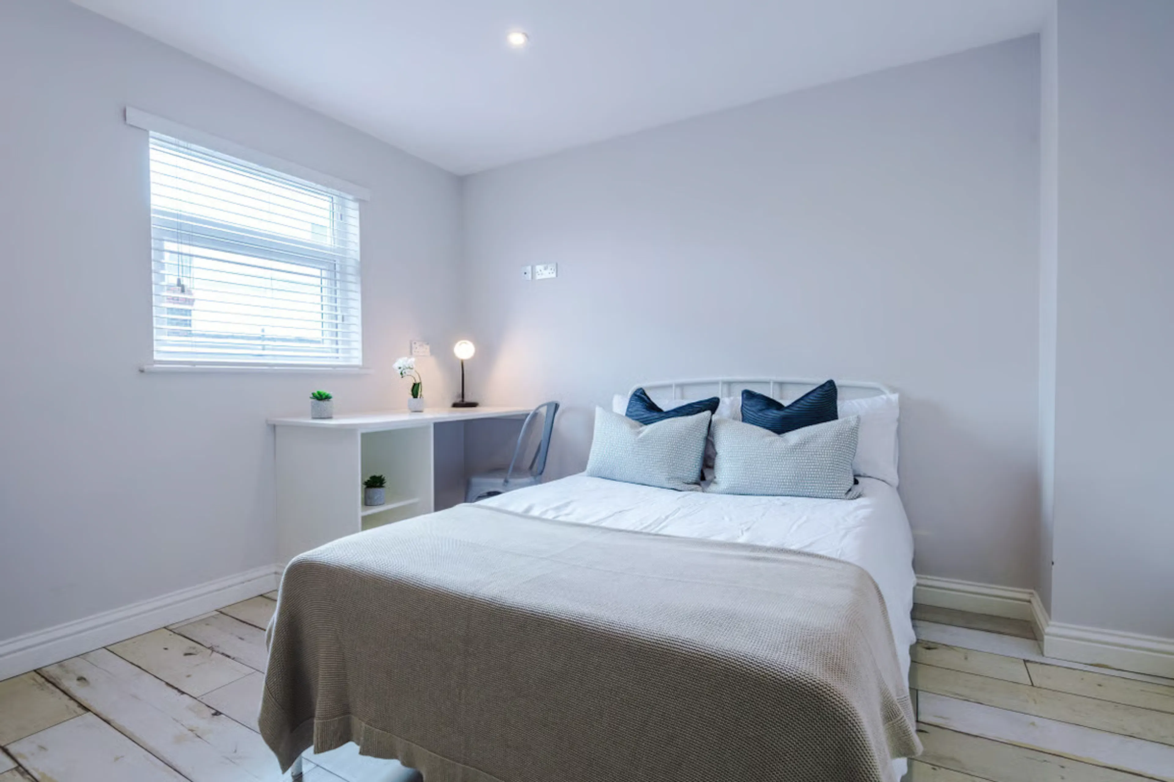 6 Bedroom Apartment ROOM 2
